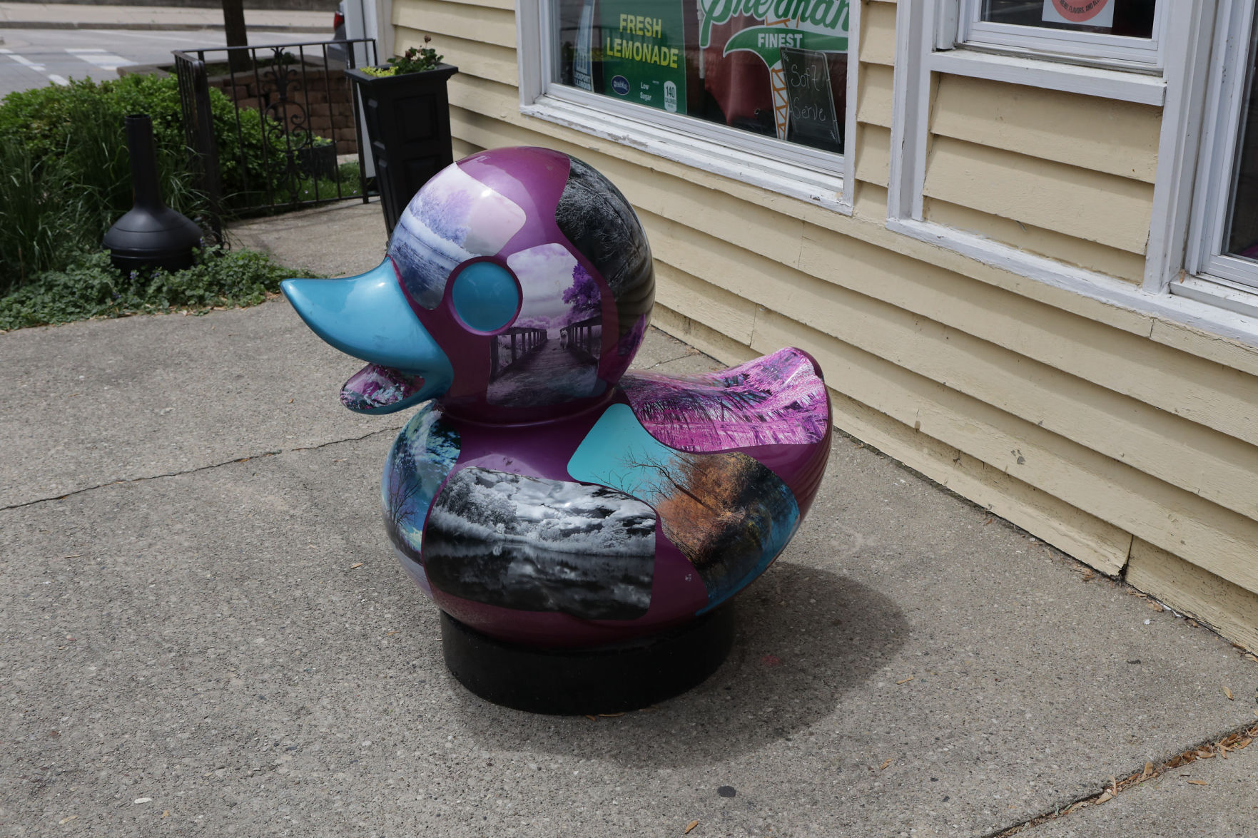Flock of artistic ducks land downtown to help small businesses fly again
